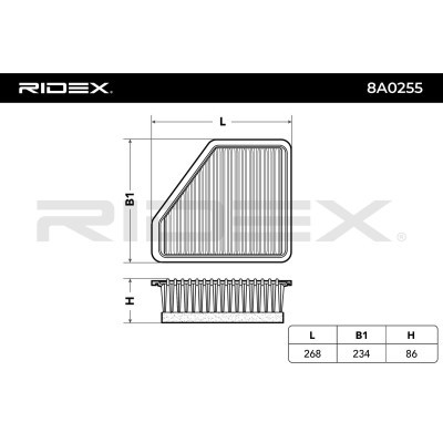 Luftfilter RIDEX 8A0255 8A0255 - foto 5