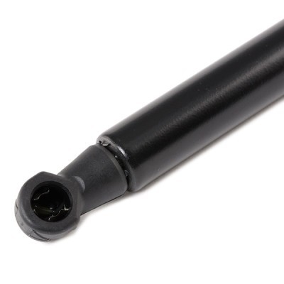 Gasfeder, Koffer-/Laderaum RIDEX 219G0356 219G0356 - foto 5