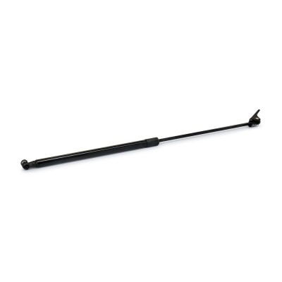 Gasfeder, Koffer-/Laderaum RIDEX 219G0595 219G0595 - foto 4