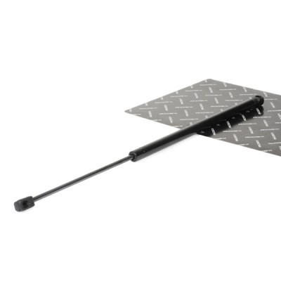 Gasfeder, Koffer-/Laderaum RIDEX 219G0320 219G0320 - foto 2