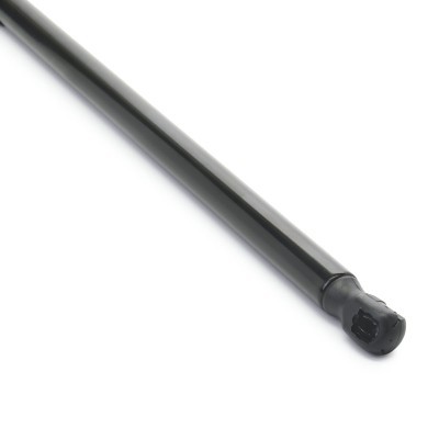 Gasfeder, Koffer-/Laderaum RIDEX 219G0915 219G0915 - foto 5