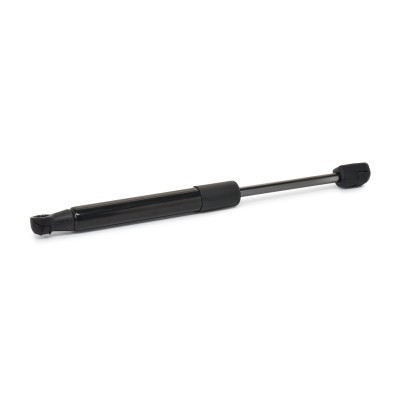 Gasfeder, Koffer-/Laderaum RIDEX 219G0234 219G0234 - foto 5