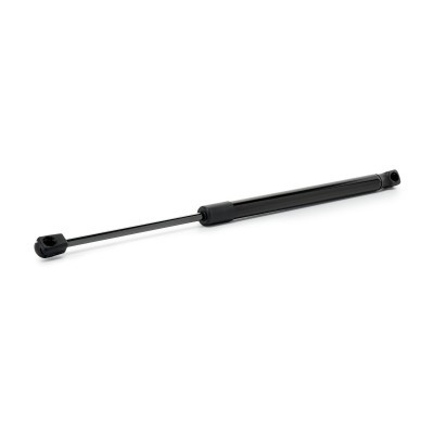 Gasfeder, Koffer-/Laderaum RIDEX 219G1355 219G1355 - foto 2
