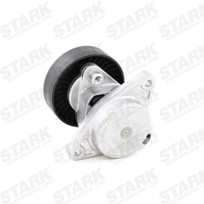 Spannarm Keilrippenriemen Stark SKTL-0610044 SKTL-0610044 - foto 5