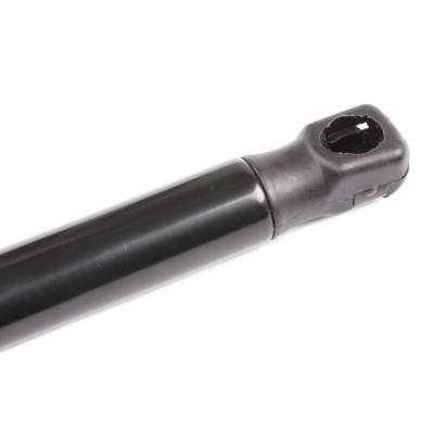 Gasfeder, Koffer-/Laderaum RIDEX 219G0268 219G0268 - foto 5