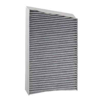Filter, Innenraumluft RIDEX 424I0529P 424I0529P - foto 3