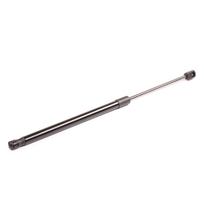 Gasfeder, Koffer-/Laderaum RIDEX 219G0227 219G0227 - foto 6
