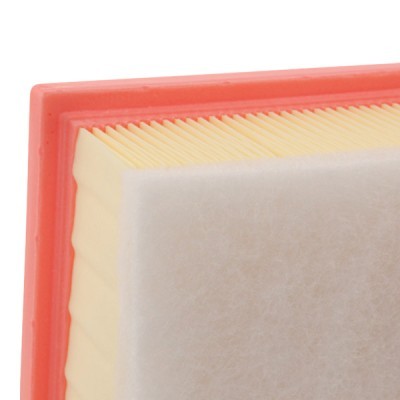 Luftfilter RIDEX 8A0998 8A0998 - foto 4