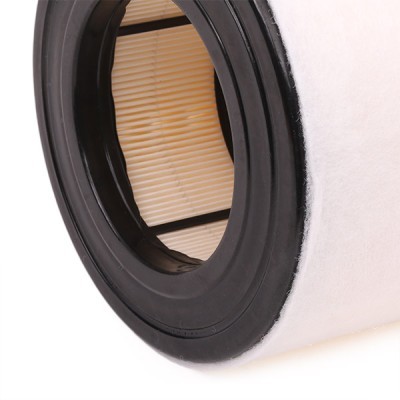 Luftfilter RIDEX 8A0435 8A0435 - foto 6