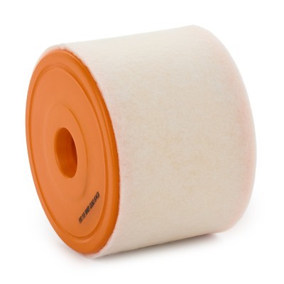 Luftfilter RIDEX 8A0403P 8A0403P - foto 2