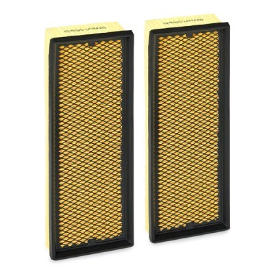 Luftfilter RIDEX 8A0169P 8A0169P - foto 3