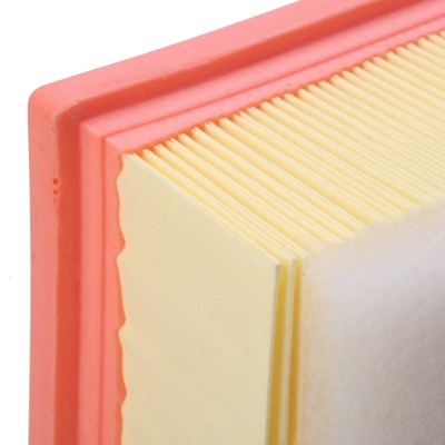 Luftfilter RIDEX 8A0612 8A0612 - foto 5