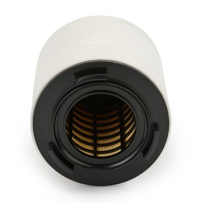 Luftfilter RIDEX 8A0167P 8A0167P - foto 4