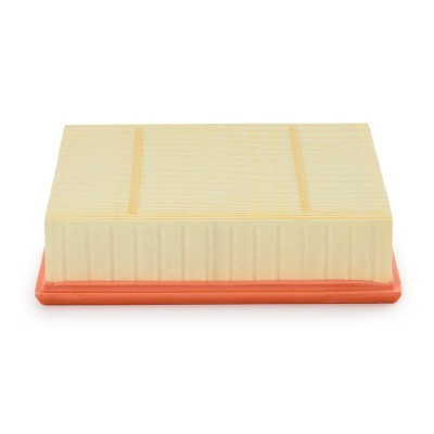 Luftfilter RIDEX 8A0381P 8A0381P - foto 4