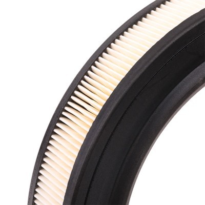 Luftfilter RIDEX 8A0316 8A0316 - foto 5