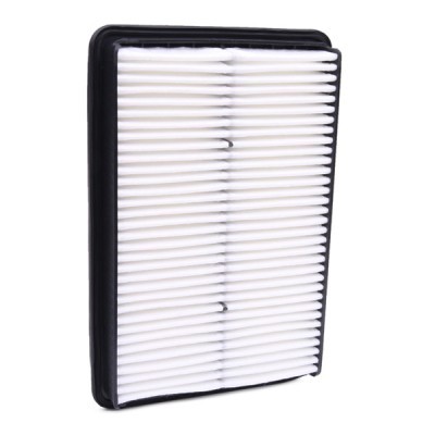 Luftfilter RIDEX 8A0670 8A0670 - foto 3