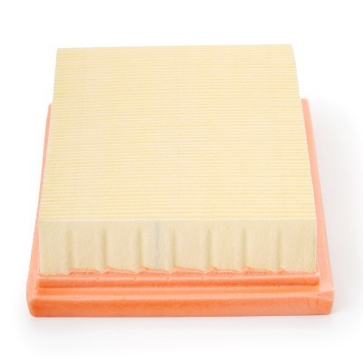 Luftfilter RIDEX 8A0462P 8A0462P - foto 5