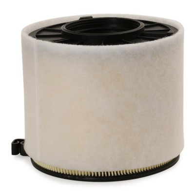 Luftfilter RIDEX 8A0812 8A0812 - foto 5