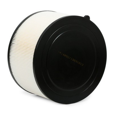 Luftfilter RIDEX 8A0589 8A0589 - foto 4