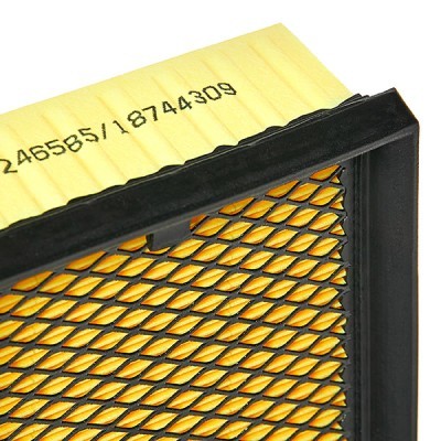 Luftfilter RIDEX 8A0169P 8A0169P - foto 5