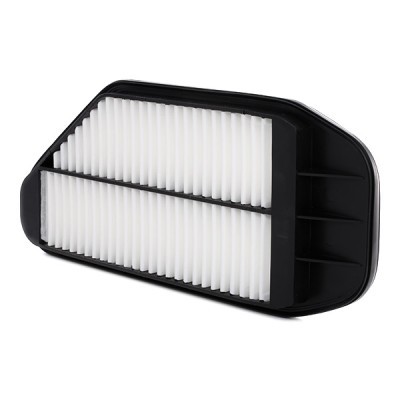 Luftfilter RIDEX 8A0295 8A0295 - foto 4