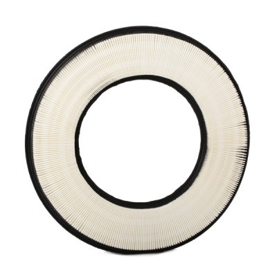 Luftfilter RIDEX 8A0498 8A0498 - foto 4