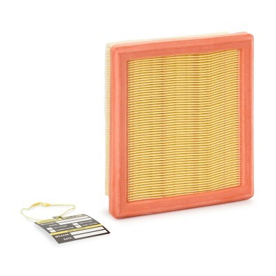 Luftfilter RIDEX 8A0642P 8A0642P - foto 2