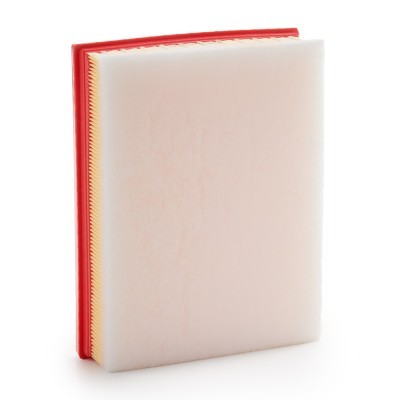 Luftfilter RIDEX 8A0928 8A0928 - foto 4