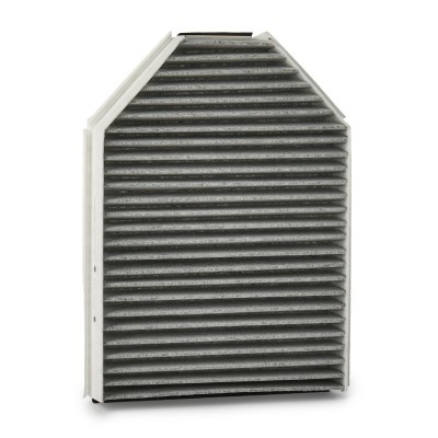 Filter, Innenraumluft RIDEX 424I0856 424I0856 - foto 3