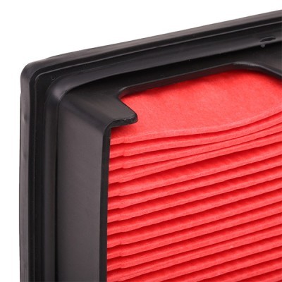 Luftfilter RIDEX 8A0077 8A0077 - foto 5