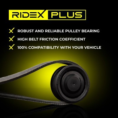 Mehrrippiger Keilriemen Set RIDEX 542R0594P 542R0594P - foto 6