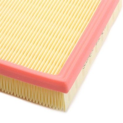 Luftfilter RIDEX 8A0409 8A0409 - foto 5