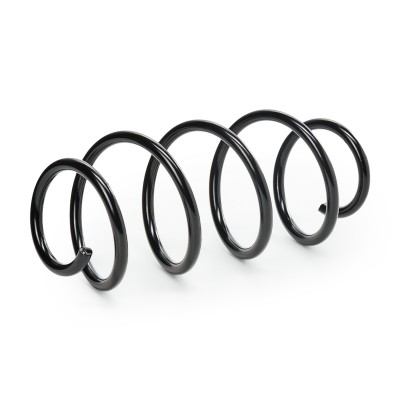 Fahrwerksfeder RIDEX 188C0155 188C0155 - foto 7