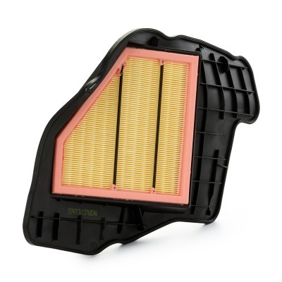 Luftfilter RIDEX 8A0718 8A0718 - foto 2