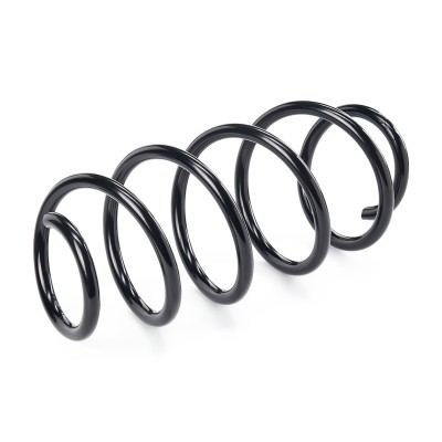 Fahrwerksfeder RIDEX 188C0049 188C0049 - foto 6