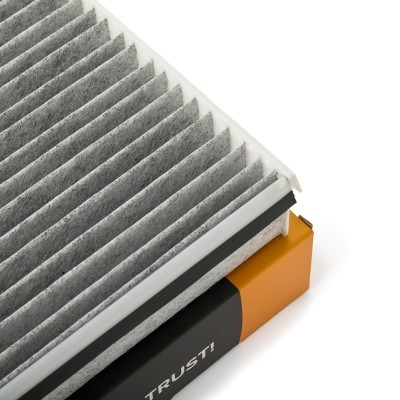 Filter, Innenraumluft RIDEX 424I0856 424I0856 - foto 4