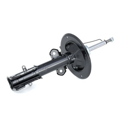 Stoßdämpfer RIDEX 854S0189 854S0189 - foto 3