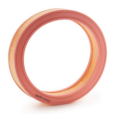 Luftfilter RIDEX 8A0972 8A0972 - foto 3