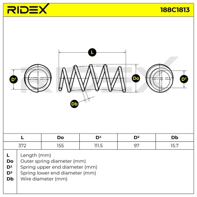 Fahrwerksfeder RIDEX 188C1813 188C1813 - foto 4