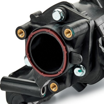 Ansaugkrümmer RIDEX 1640F0051 1640F0051 - foto 5