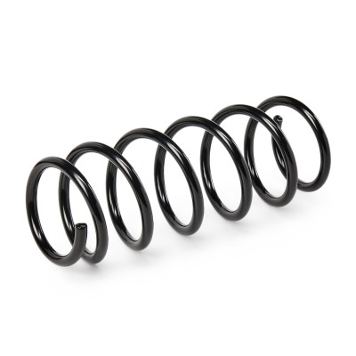 Fahrwerksfeder RIDEX 188C0250 188C0250 - foto 3