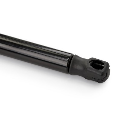 Gasfeder, Motorhaube RIDEX 514G0012 514G0012 - foto 6