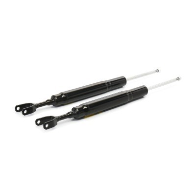 Stoßdämpfer RIDEX 854S1663P 854S1663P - foto 4