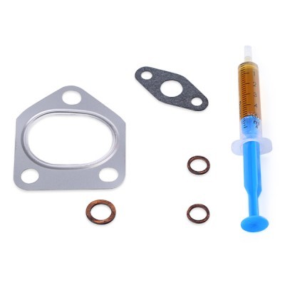 Turbolader RIDEX 2234C0060R 2234C0060R - foto 8