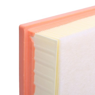 Luftfilter RIDEX 8A0836 8A0836 - foto 5