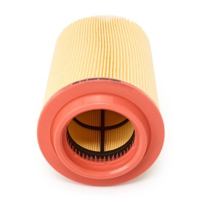 Luftfilter RIDEX 8A0060P 8A0060P - foto 4