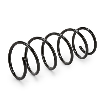 Fahrwerksfeder RIDEX 188C0420 188C0420 - foto 5