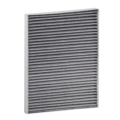 Filter, Innenraumluft RIDEX 424I0625P 424I0625P - foto 3