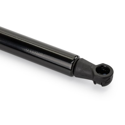 Gasfeder, Motorhaube RIDEX 514G0025 514G0025 - foto 6