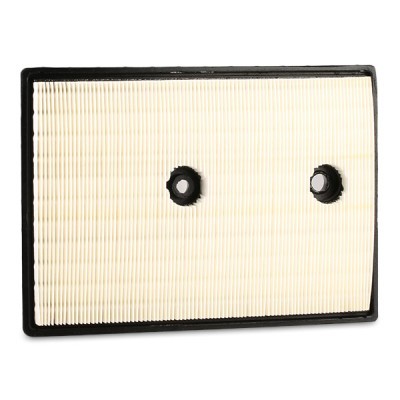 Luftfilter RIDEX 8A0321 8A0321 - foto 9